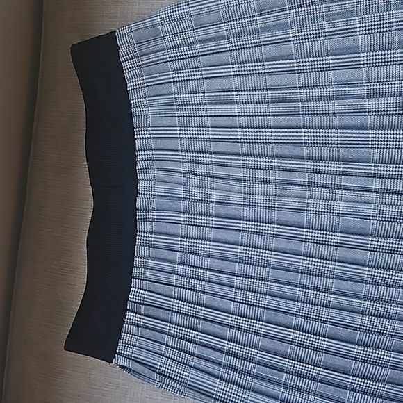 Zara pleated floral embroidery skirt - Picture 3 of 6